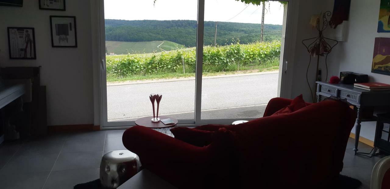 Flor'Ever En Champagne Fleury-la-Riviere 외부 사진