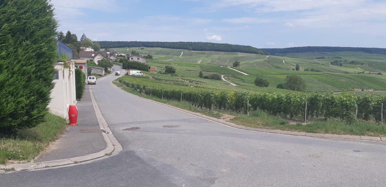 Flor'Ever En Champagne Fleury-la-Riviere 외부 사진