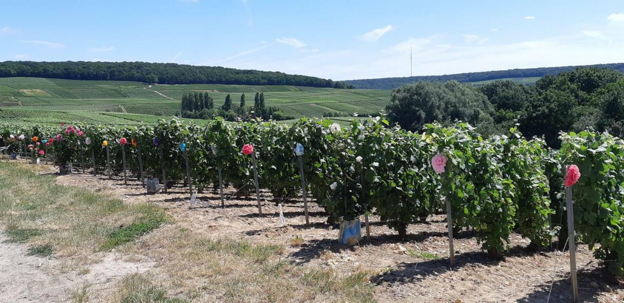 Flor'Ever En Champagne Fleury-la-Riviere 외부 사진