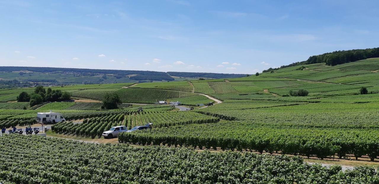 Flor'Ever En Champagne Fleury-la-Riviere 외부 사진
